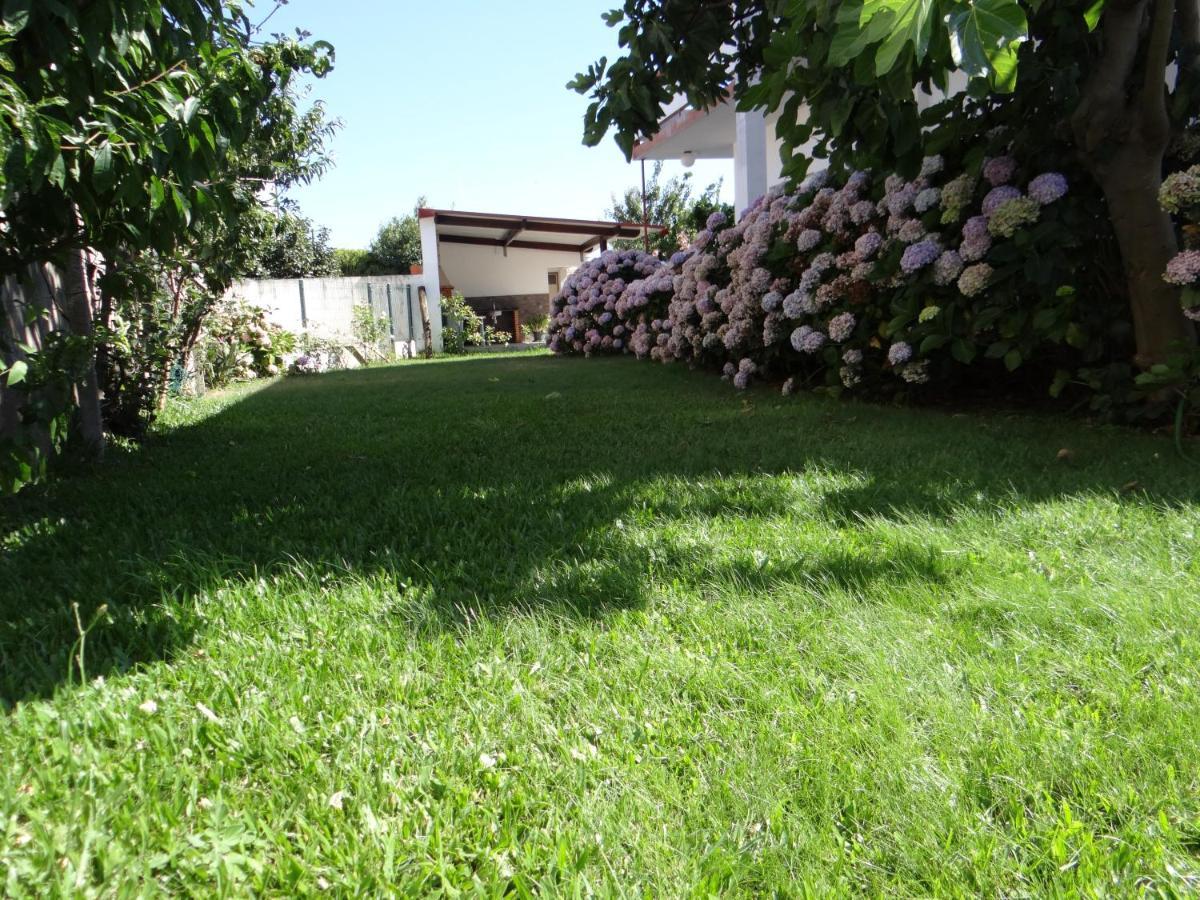 Villa Ribeiro'S House Gafanha da Nazaré Exterior foto
